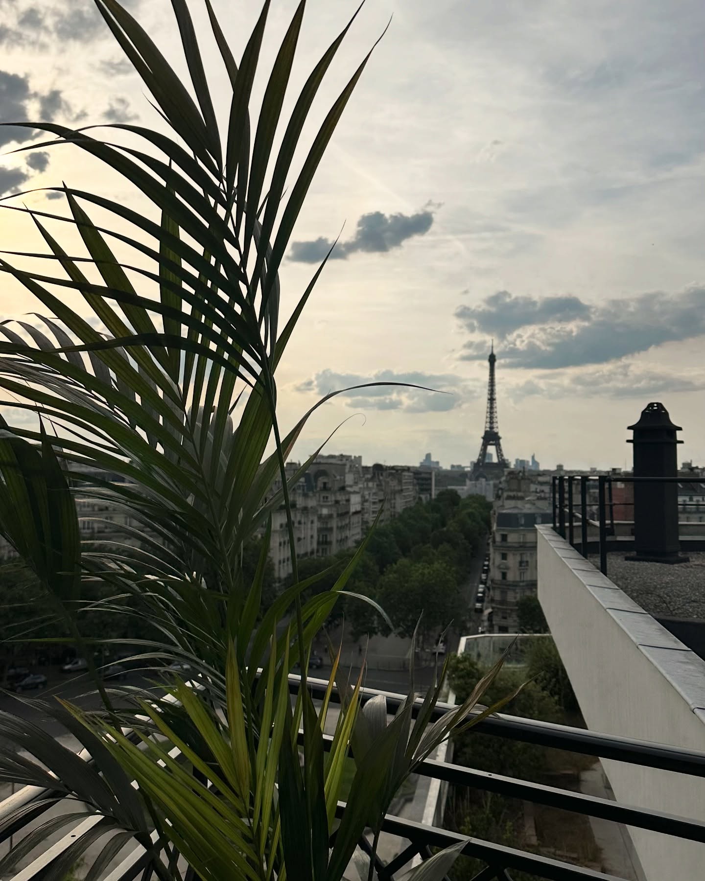 Paris Guide